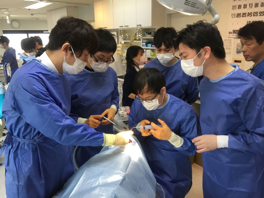 A group of physicians perform dental implant surgery under instruction.